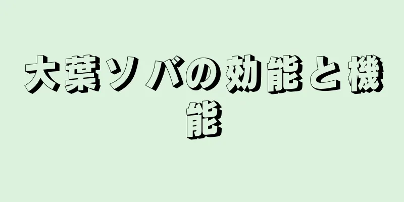 大葉ソバの効能と機能