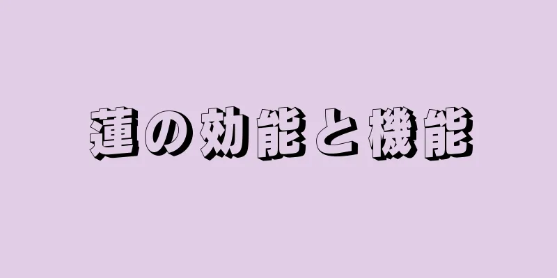 蓮の効能と機能