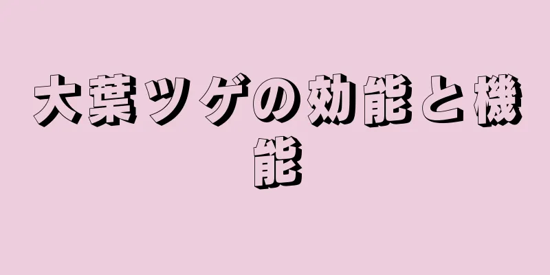 大葉ツゲの効能と機能