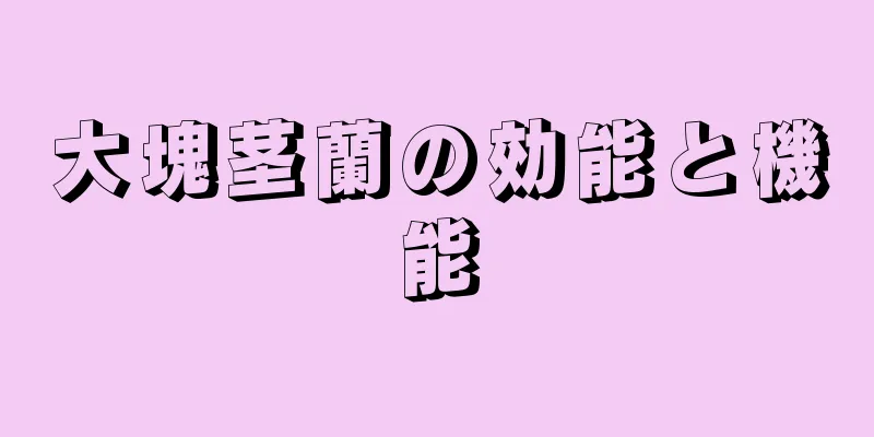 大塊茎蘭の効能と機能