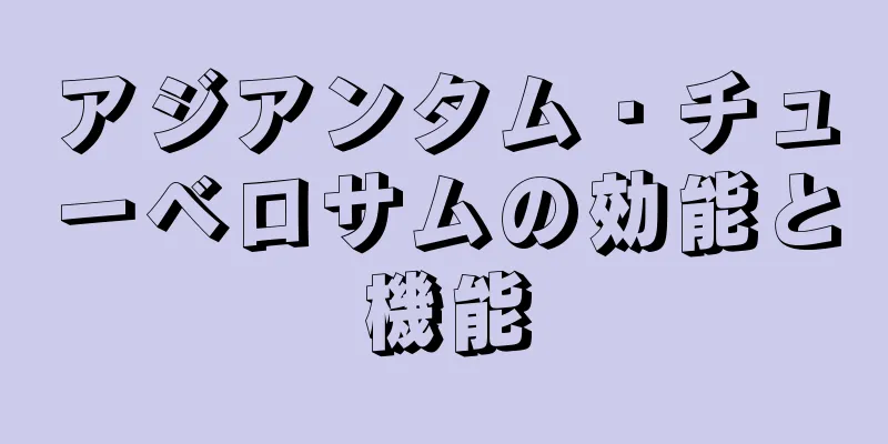 アジアンタム・チューベロサムの効能と機能