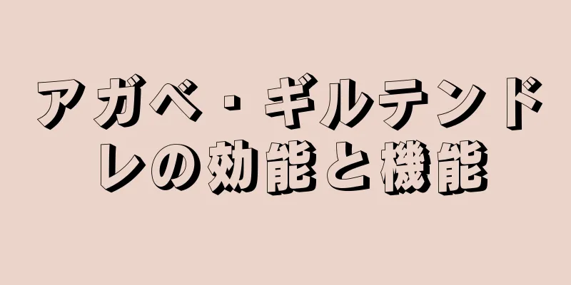 アガベ・ギルテンドレの効能と機能