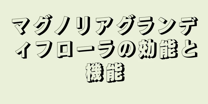マグノリアグランディフローラの効能と機能