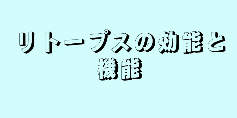 リトープスの効能と機能
