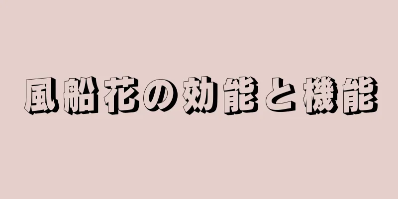 風船花の効能と機能