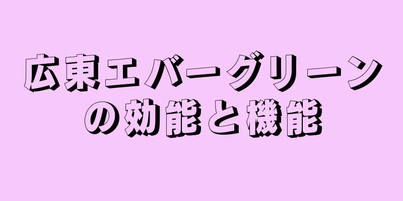 広東エバーグリーンの効能と機能