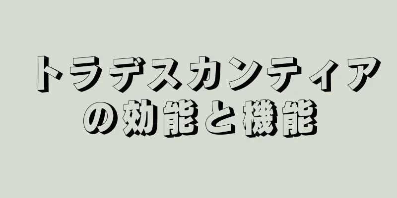 トラデスカンティアの効能と機能