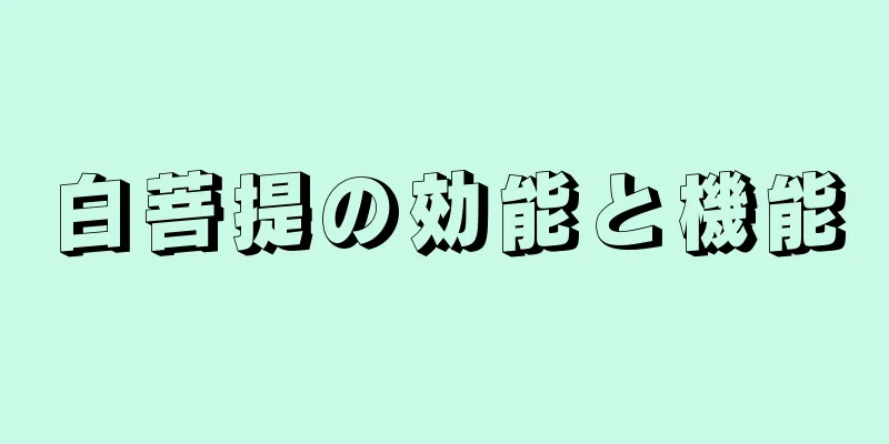 白菩提の効能と機能