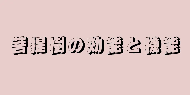 菩提樹の効能と機能