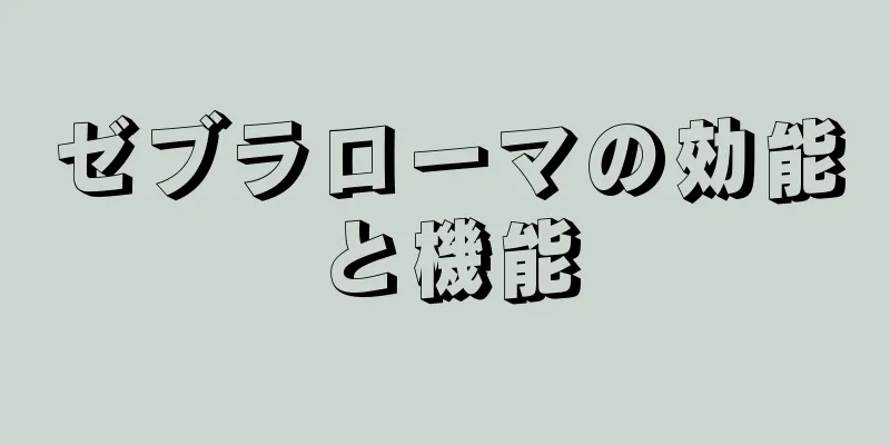 ゼブラローマの効能と機能