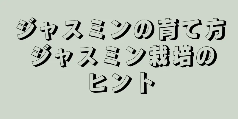 ジャスミンの育て方 ジャスミン栽培のヒント
