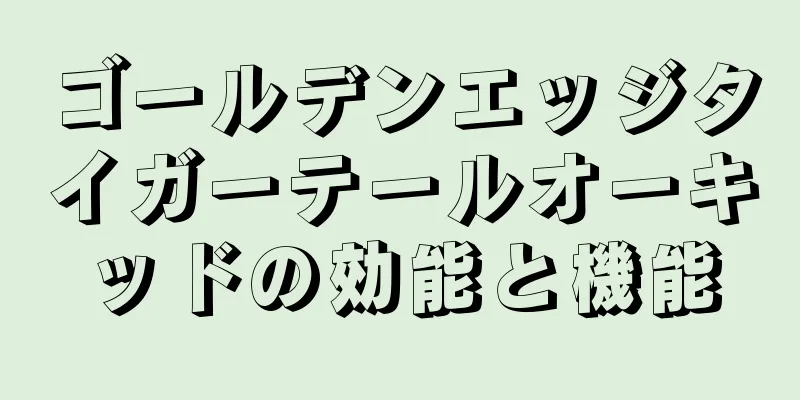 ゴールデンエッジタイガーテールオーキッドの効能と機能