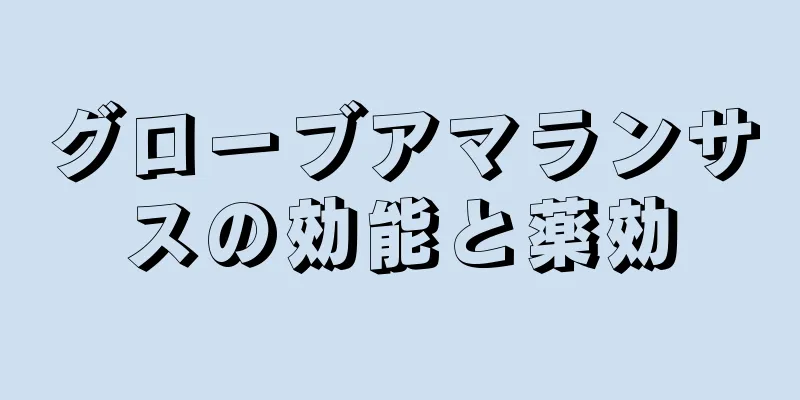 グローブアマランサスの効能と薬効