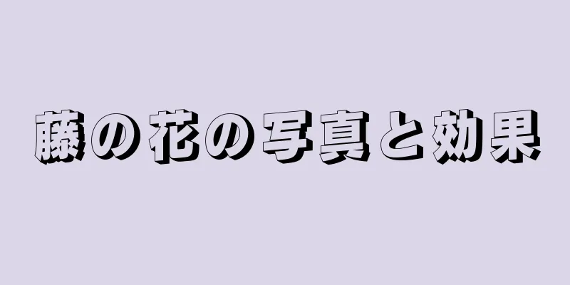 藤の花の写真と効果