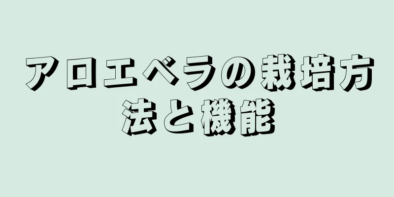 アロエベラの栽培方法と機能