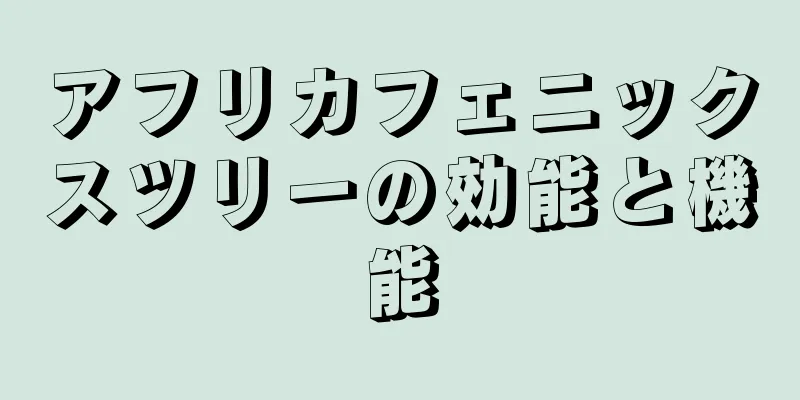 アフリカフェニックスツリーの効能と機能