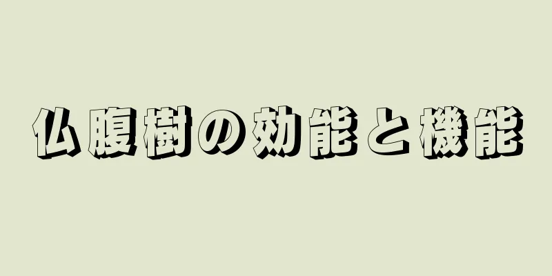 仏腹樹の効能と機能