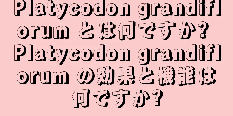 Platycodon grandiflorum とは何ですか? Platycodon grandiflorum の効果と機能は何ですか?