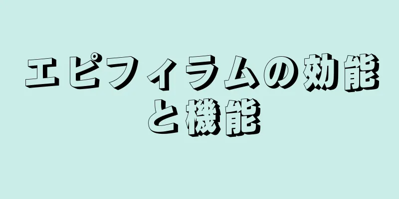 エピフィラムの効能と機能