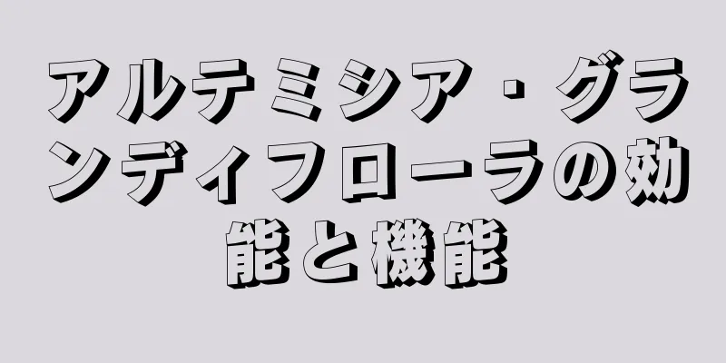 アルテミシア・グランディフローラの効能と機能