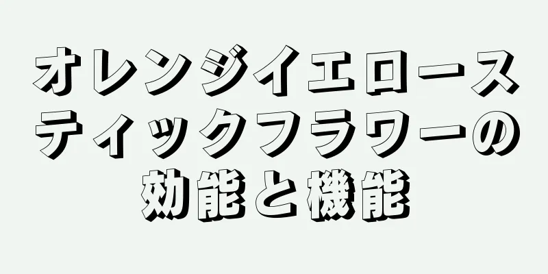 オレンジイエロースティックフラワーの効能と機能