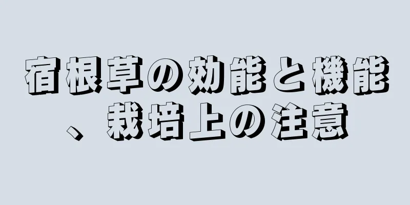 宿根草の効能と機能、栽培上の注意