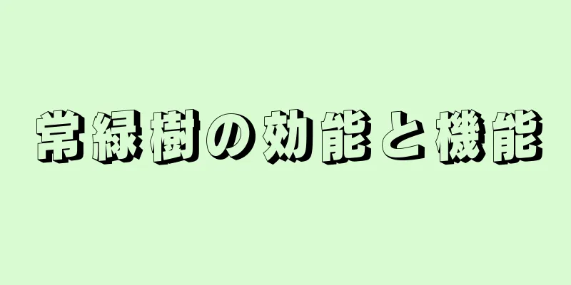 常緑樹の効能と機能