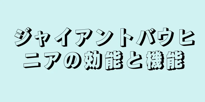 ジャイアントバウヒニアの効能と機能