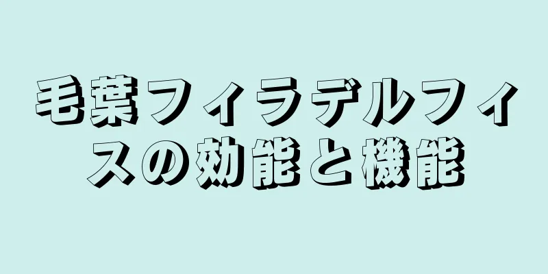 毛葉フィラデルフィスの効能と機能
