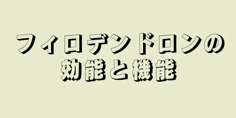 フィロデンドロンの効能と機能