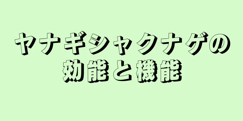 ヤナギシャクナゲの効能と機能