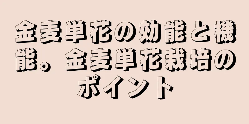 金麦単花の効能と機能。金麦単花栽培のポイント