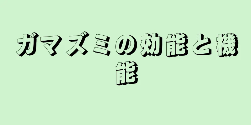 ガマズミの効能と機能