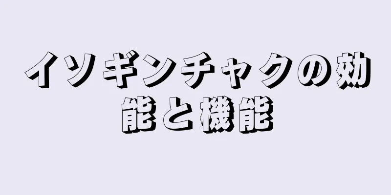 イソギンチャクの効能と機能
