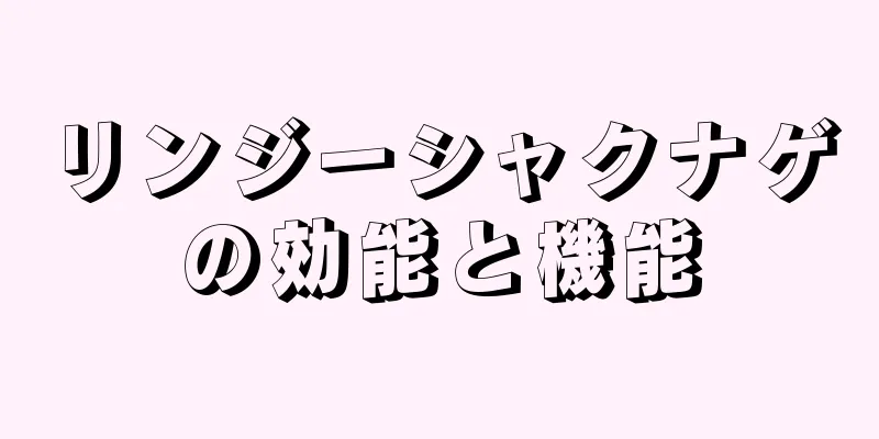リンジーシャクナゲの効能と機能