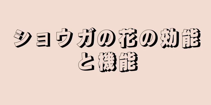 ショウガの花の効能と機能