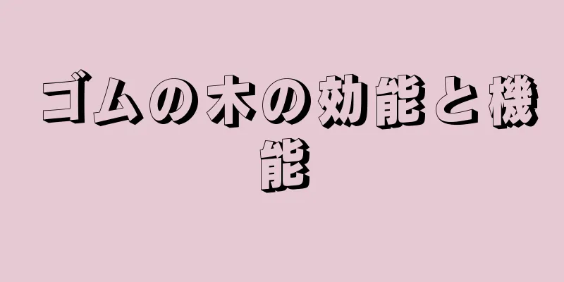 ゴムの木の効能と機能