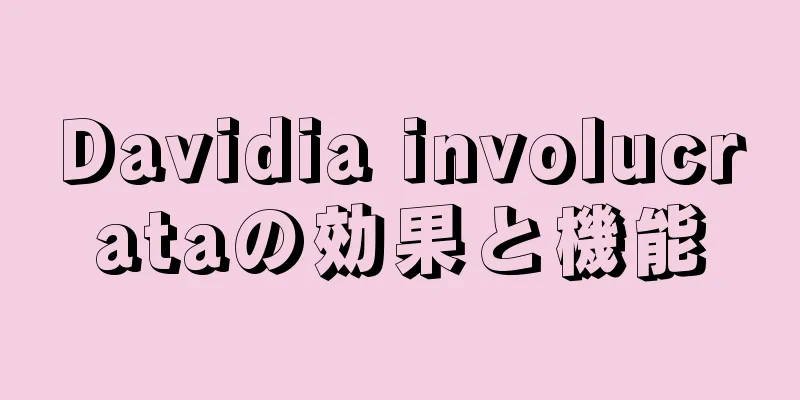 Davidia involucrataの効果と機能