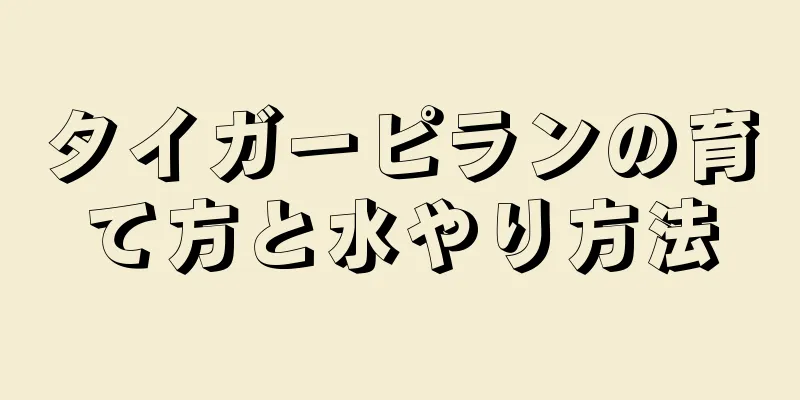 タイガーピランの育て方と水やり方法
