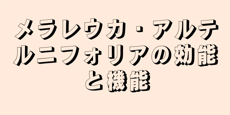 メラレウカ・アルテルニフォリアの効能と機能