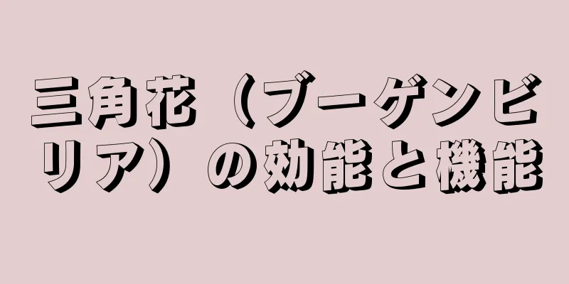三角花（ブーゲンビリア）の効能と機能