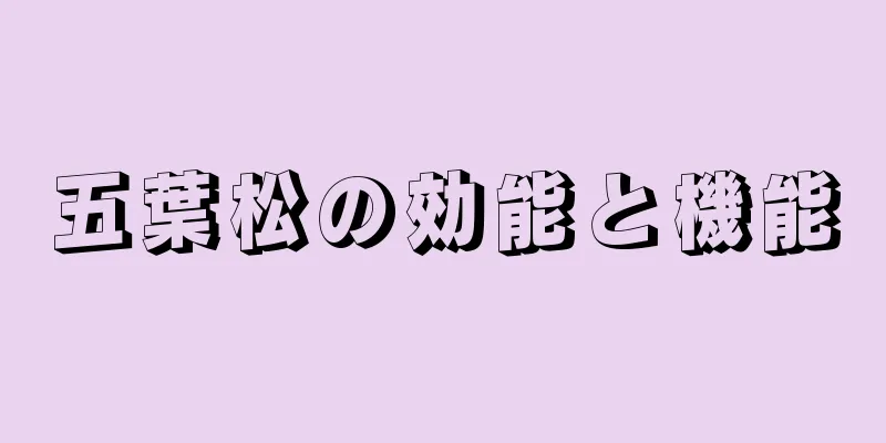 五葉松の効能と機能