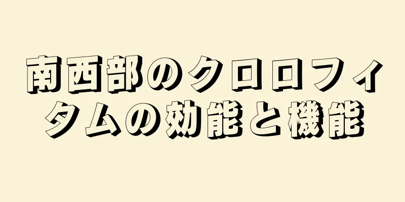 南西部のクロロフィタムの効能と機能
