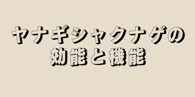 ヤナギシャクナゲの効能と機能