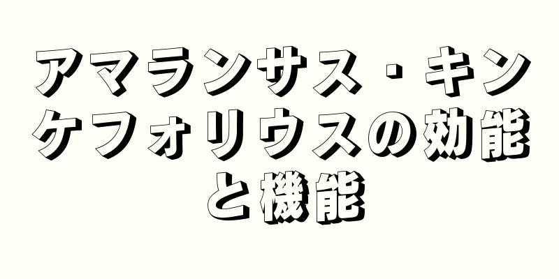 アマランサス・キンケフォリウスの効能と機能
