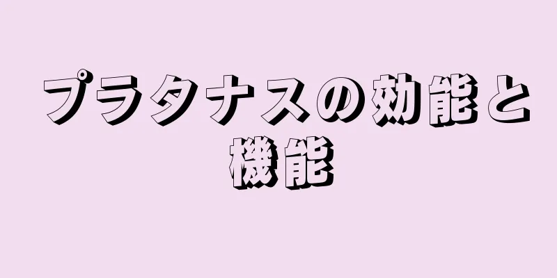 プラタナスの効能と機能