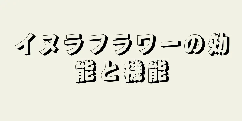 イヌラフラワーの効能と機能