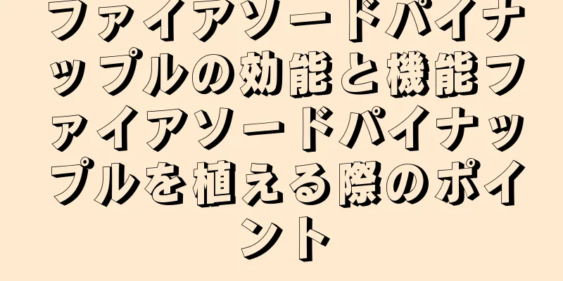 ファイアソードパイナップルの効能と機能ファイアソードパイナップルを植える際のポイント