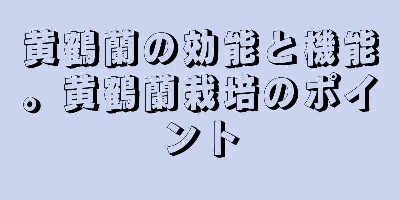 黄鶴蘭の効能と機能。黄鶴蘭栽培のポイント