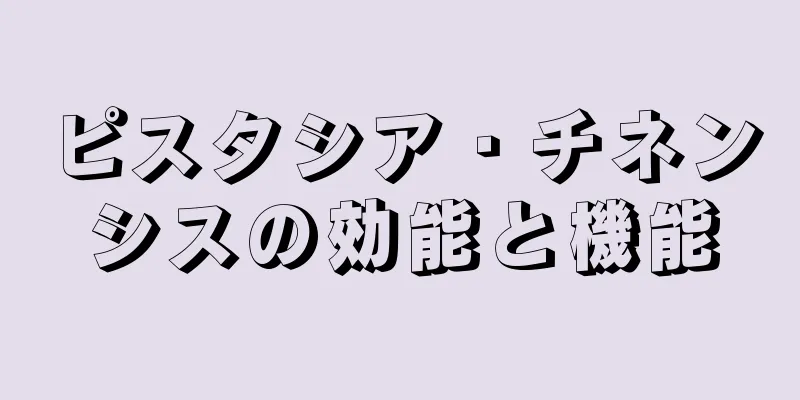ピスタシア・チネンシスの効能と機能
